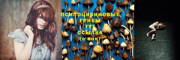 герыч Богородск